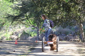 Enlarge photo 17