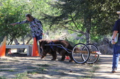 Enlarge photo 19