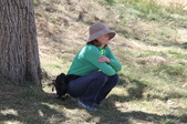 Enlarge photo 21