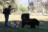 Enlarge photo 9