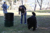 Enlarge photo 11