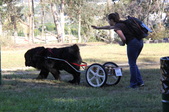 Enlarge photo 13