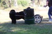 Enlarge photo 14