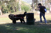 Enlarge photo 15