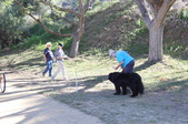Enlarge photo 18