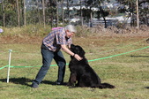 Enlarge photo 12