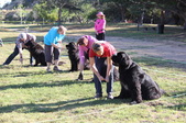 Enlarge photo 15