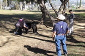 Enlarge photo 22
