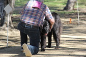 Enlarge photo 24