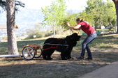 Enlarge photo 9