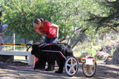 Enlarge photo 13