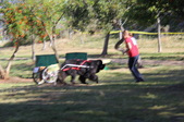 Enlarge photo 19