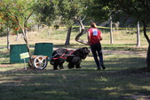 Enlarge photo 21