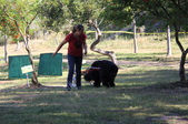 Enlarge photo 24