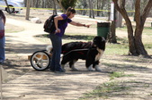 Enlarge photo 3