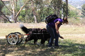 Enlarge photo 17