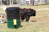 Enlarge photo 20