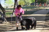 Enlarge photo 13