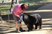 Enlarge photo 14