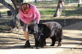 Enlarge photo 16