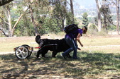 Enlarge photo 11