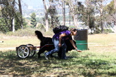 Enlarge photo 13