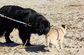 Enlarge photo 14