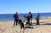 Enlarge photo 15