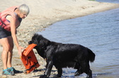 Enlarge photo 14