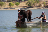 Enlarge photo 13
