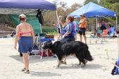 Ozzie w/ Shannon Gasowski
