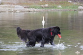 Enlarge photo 23