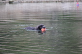 Enlarge photo 17