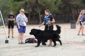 Sterling w/ Erin Zimmer