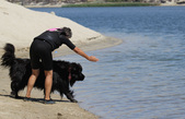 Enlarge photo 17