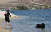 Enlarge photo 24