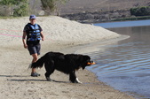 Enlarge photo 17