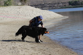 Enlarge photo 18