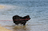 Enlarge photo 21