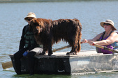Enlarge photo 21