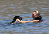 Enlarge photo 15