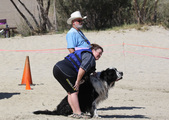 Ozzie WRD Shannon Gasowski
