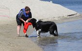 Enlarge photo 13