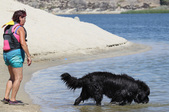 Enlarge photo 15