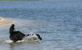 Enlarge photo 2