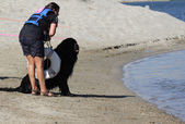 Enlarge photo 23