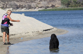 Enlarge photo 5
