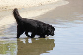 Enlarge photo 11
