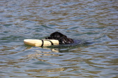 Enlarge photo 16
