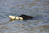 Enlarge photo 18